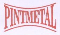 Logo Pintmetal
